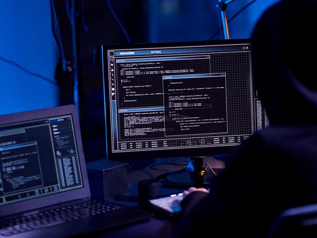 Жителя Новосибирской области заподозрили в хакерской атаке на сайт кабмина РФ