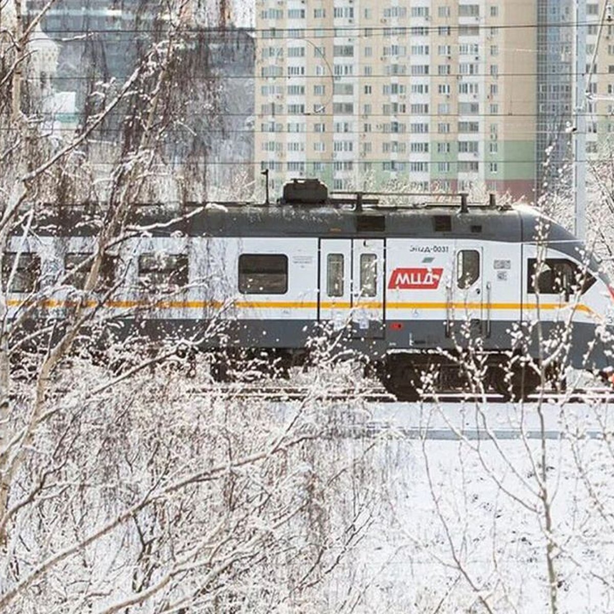 ЦППК перевезла более полумиллиарда пассажиров в 2023 году – Москва 24,  29.01.2024