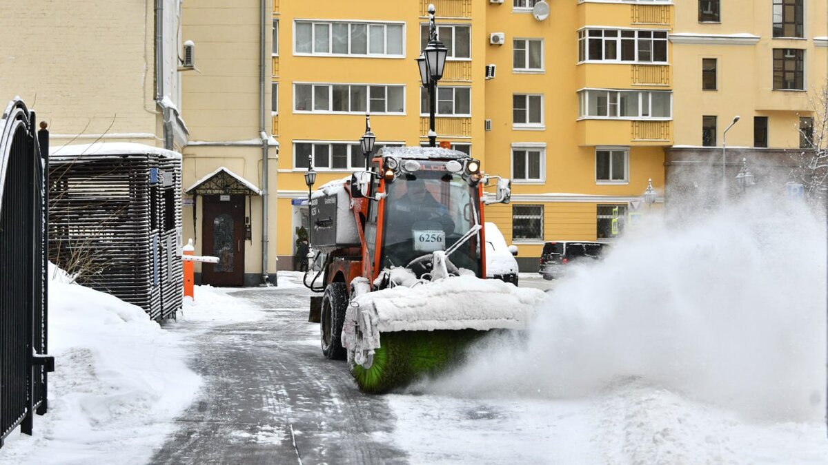 Сугробы в Москве выросли до 44 сантиметров – Москва 24, 04.02.2024