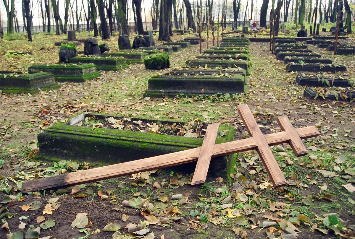 Участок с бывшим военным кладбищем выставили на аукцион в Подмосковье –  Москва 24, 07.11.2014