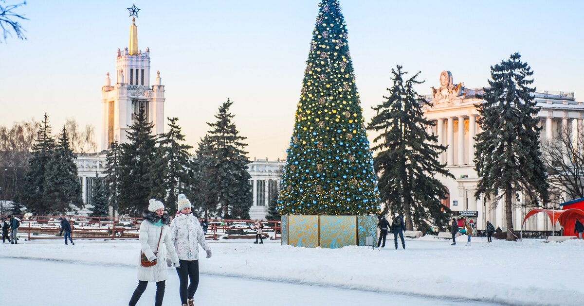 Останкинский парк зимой