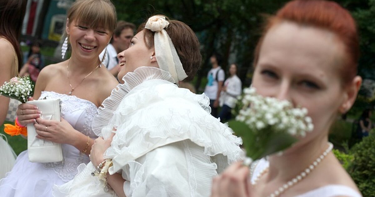 Сбежавший невесты на русском языке. Куст Сбежавшая невеста.