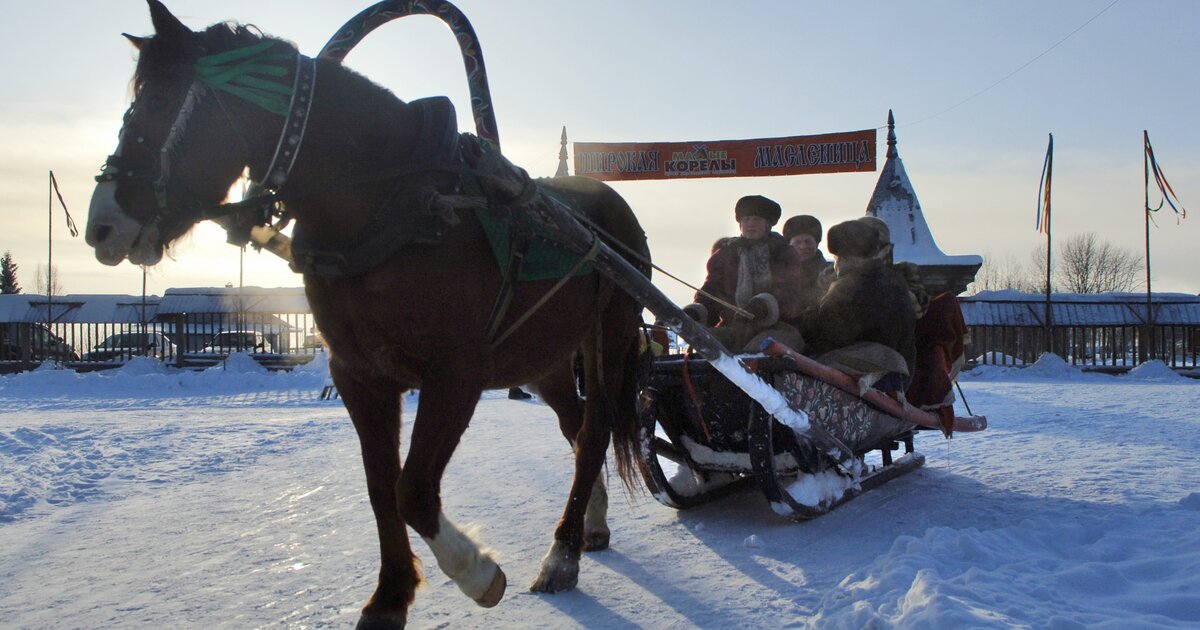 Конный двор волга ржев