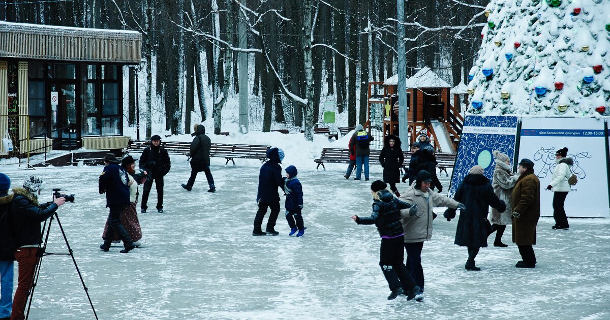 Филевский парк зимой