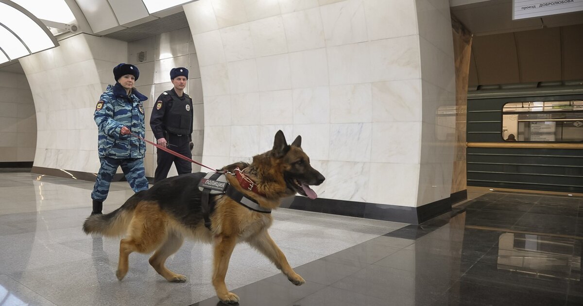 Безопасность в метро