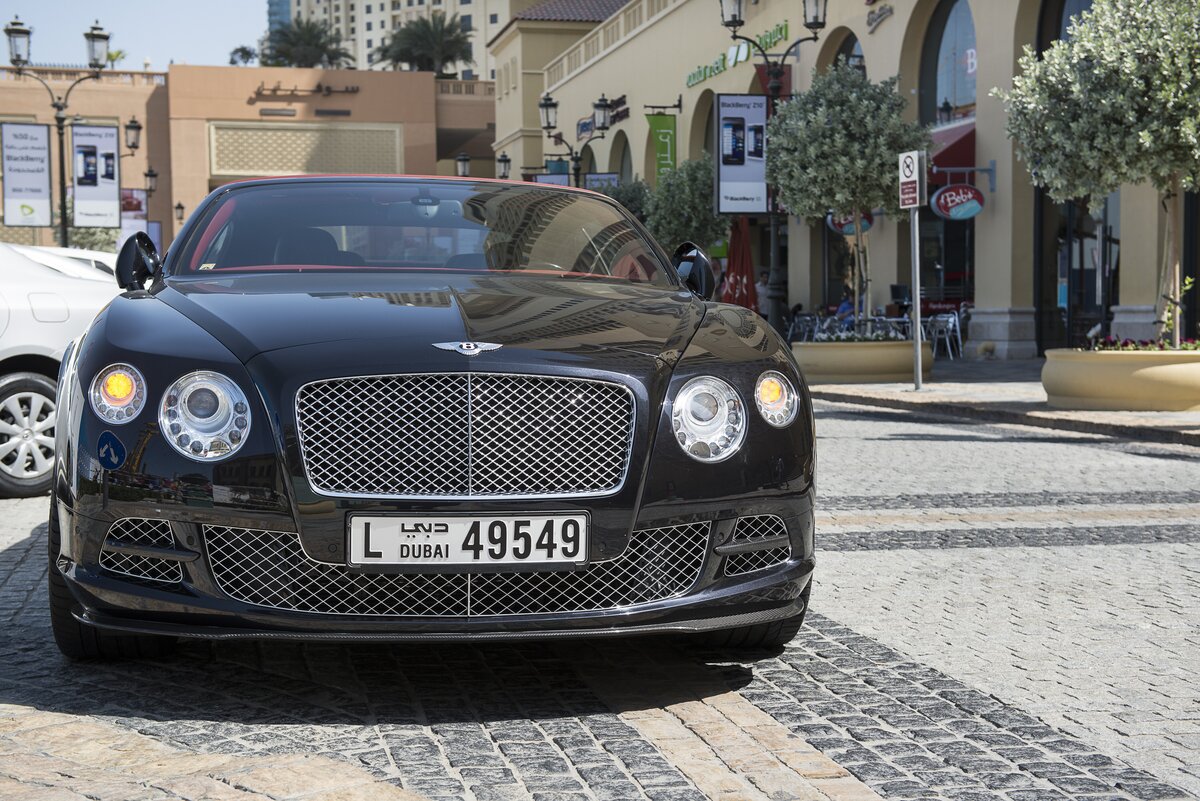 Bentley выпустит автомобили с отделкой на основе грибов и медуз – Москва  24, 12.05.2017